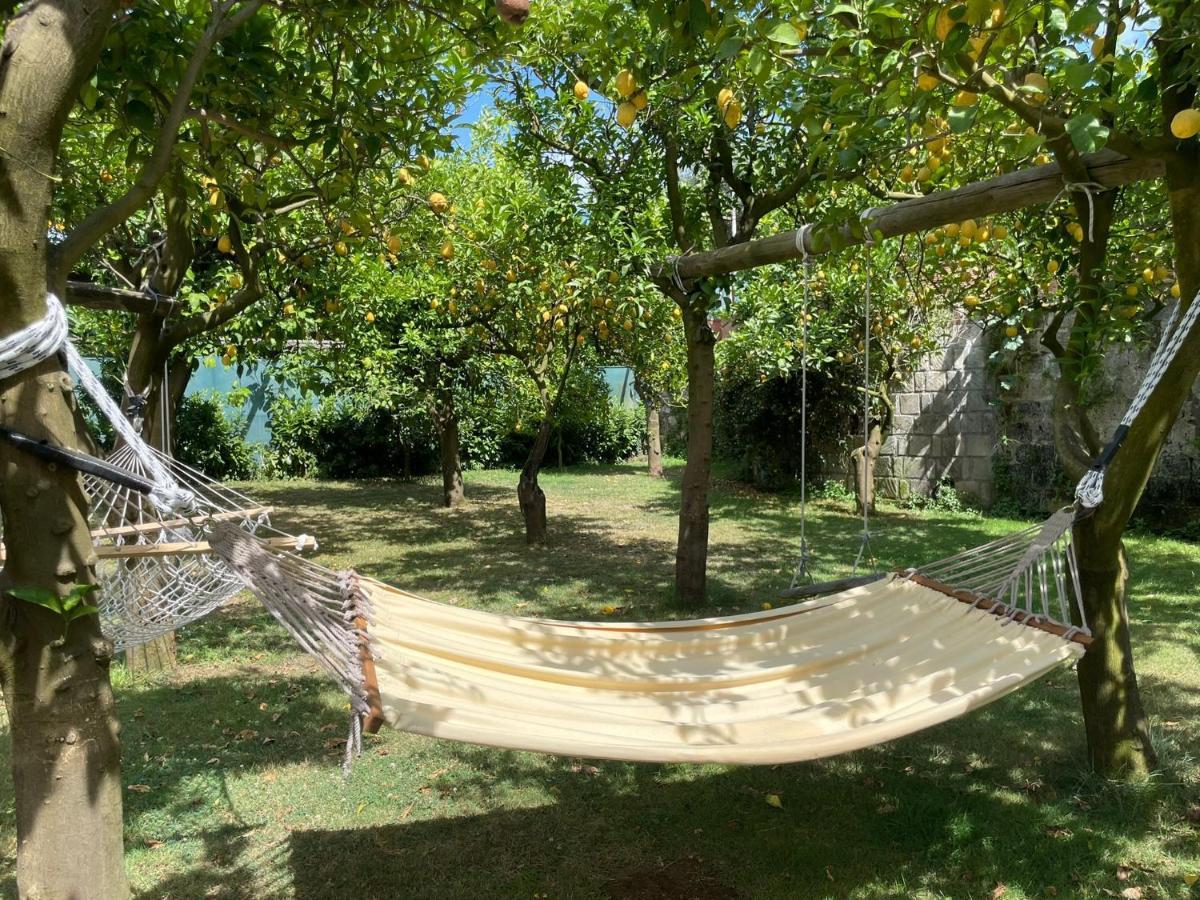 Casa Sorrento, Immerso Nel Verde A Pochi Passi Dal Centro المظهر الخارجي الصورة