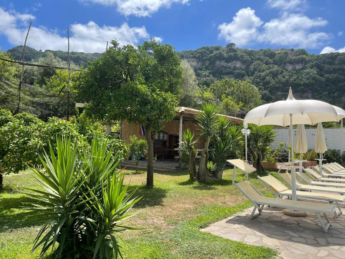 Casa Sorrento, Immerso Nel Verde A Pochi Passi Dal Centro المظهر الخارجي الصورة