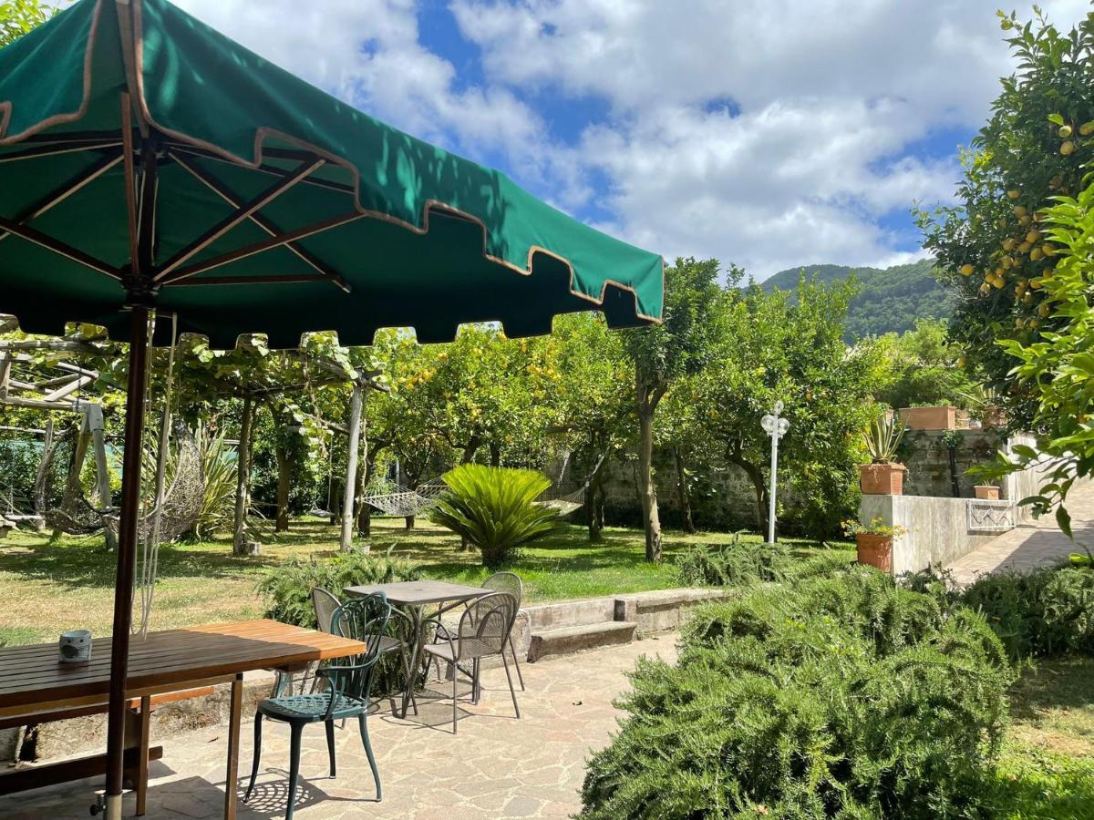 Casa Sorrento, Immerso Nel Verde A Pochi Passi Dal Centro المظهر الخارجي الصورة